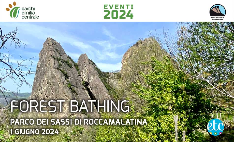 FOREST BATHING AI SASSI DI ROCCAMALATINA